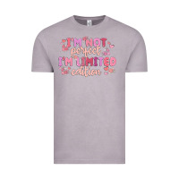Vintage Zinc i'm not perfect i'm limited edition Vintage Tee - MaliasSmallBusiness