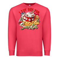 Cardinal i put out for santa Premium Sweatshirt - CowGirlArtShop
