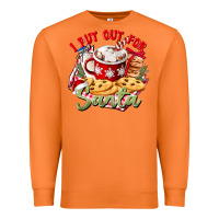 Carrot i put out for santa Premium Sweatshirt - CowGirlArtShop