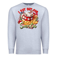 Heather Grey i put out for santa Premium Sweatshirt - CowGirlArtShop
