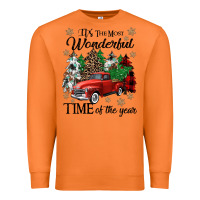 Carrot its the most wonderful time of the year Premium Sweatshirt - CowGirlArtShop