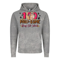 Cloud Rock 100 paw some days of school Vintage Hoodie - MaliasSmallBusiness