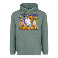 Sage pet all the pumpkins Heavyweight Hoodie - CowGirlArtShop