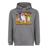 Storm pet all the pumpkins Heavyweight Hoodie - CowGirlArtShop