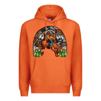 Carrot rodeo cowboy rainbow Premium Hoodie - JahusDesignShop
