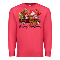 Cardinal merry christmas truck gnomies Premium Sweatshirt - CowGirlArtShop