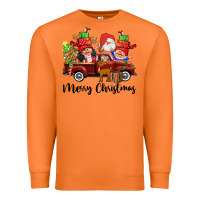 Carrot merry christmas truck gnomies Premium Sweatshirt - CowGirlArtShop
