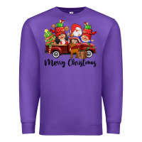 Purple merry christmas truck gnomies Premium Sweatshirt - CowGirlArtShop