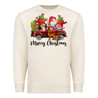 Sandshell merry christmas truck gnomies Premium Sweatshirt - CowGirlArtShop