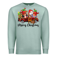 Seafoam merry christmas truck gnomies Premium Sweatshirt - CowGirlArtShop