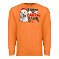 Carrot i believe in santa paws Premium Sweatshirt - CowGirlArtShop