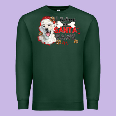 I Believe In Santa Paws Premium Sweatshirt Designed By Cowgirlartshop