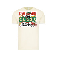 Vintage Arctic i've loved my class 100 days Vintage Tee - MaliasSmallBusiness