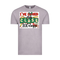 Vintage Zinc i've loved my class 100 days Vintage Tee - MaliasSmallBusiness