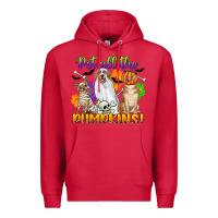 Cardinal pet all the pumpkins Premium Hoodie - CowGirlArtShop