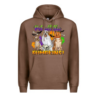 Chestnut pet all the pumpkins Premium Hoodie - CowGirlArtShop