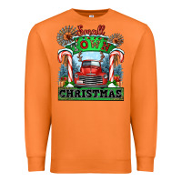 Carrot small town christmas Premium Sweatshirt - CowGirlArtShop