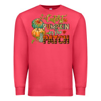 Cardinal cutest pumpkin in the patch Premium Sweatshirt - CowGirlArtShop