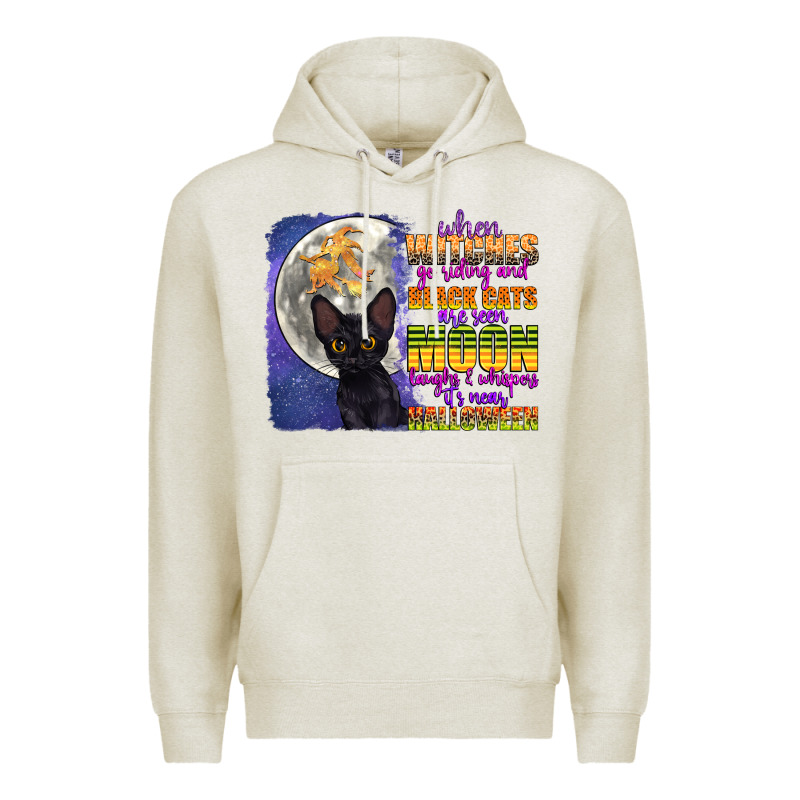 When Witches Go Riding Premium Hoodie by CowGirlArtShop | Teevron