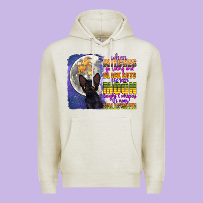 When Witches Go Riding Premium Hoodie Designed By Cowgirlartshop