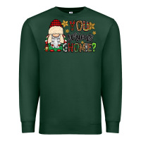 Sports Green you serious gnomie Premium Sweatshirt - CowGirlArtShop
