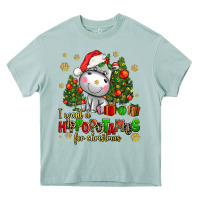 Arona i want a hippopotamus for christmas Heavy Core Tee - AdoDesignShop