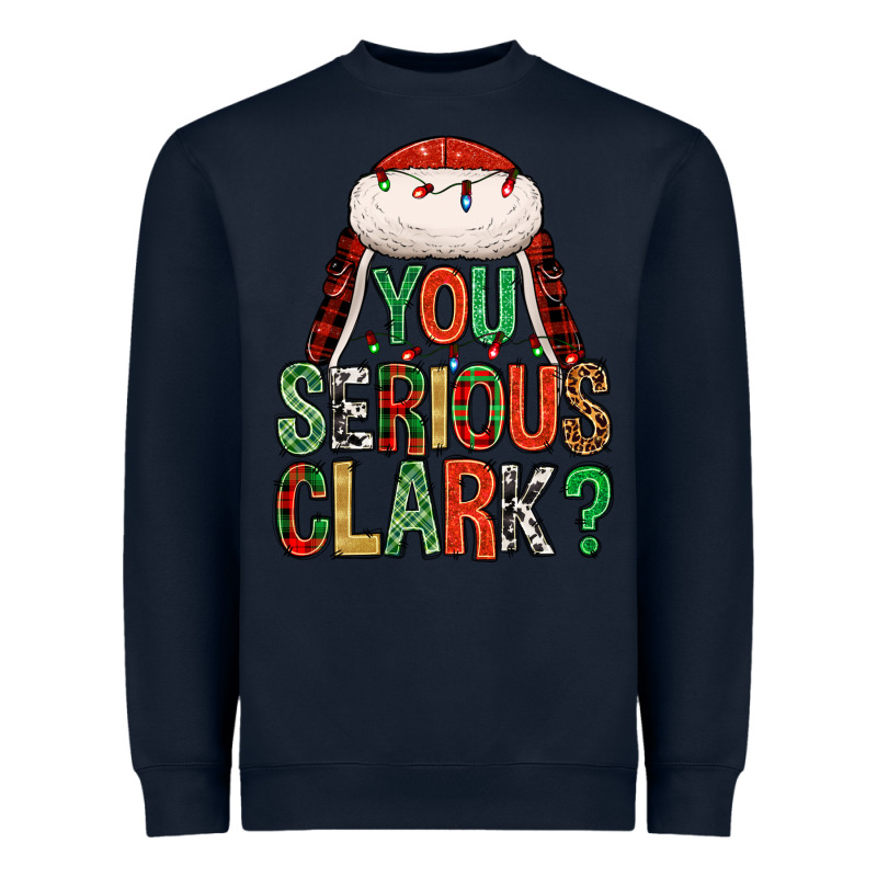 You Serious Clark Heavyweight Sweatshirt by NancyCooperArtShop | Teevron