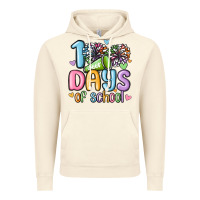 Vintage Artic 100 days of school cheer Vintage Hoodie - MaliasSmallBusiness