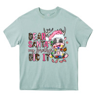 Arona dear santa my brother did it Heavy Core Tee - AdoDesignShop