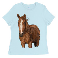 Baby Blue brown horse Ladies Tee - RanaPortraitStore