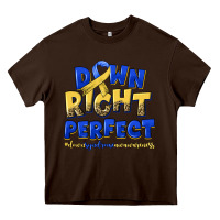 Chocolate Brown down right perfect down syndrome Heavy Core Tee - Artiststas