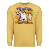 Antique Gold pet all the pumpkins Premium Sweatshirt - CowGirlArtShop