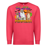 Cardinal pet all the pumpkins Premium Sweatshirt - CowGirlArtShop