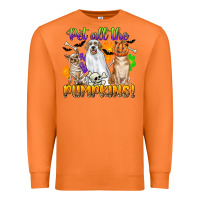 Carrot pet all the pumpkins Premium Sweatshirt - CowGirlArtShop