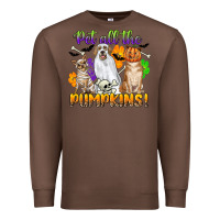 Chestnut pet all the pumpkins Premium Sweatshirt - CowGirlArtShop