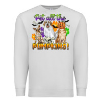 Dove Grey pet all the pumpkins Premium Sweatshirt - CowGirlArtShop