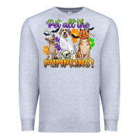 Heather Grey pet all the pumpkins Premium Sweatshirt - CowGirlArtShop