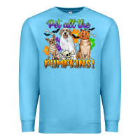 Ocean Blue pet all the pumpkins Premium Sweatshirt - CowGirlArtShop