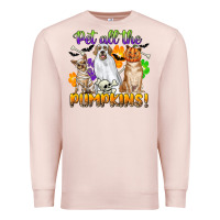 Pale Pink pet all the pumpkins Premium Sweatshirt - CowGirlArtShop