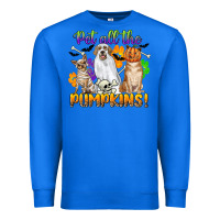True Royal pet all the pumpkins Premium Sweatshirt - CowGirlArtShop