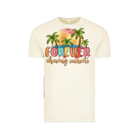 Vintage Arctic forever chasing sunsets Vintage Tee - MaliasSmallBusiness