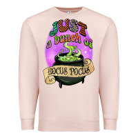 Pale Pink just a bunch of hocus pocus Premium Sweatshirt - CowGirlArtShop