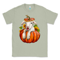 Matcha fall pumpkin lamb nancy cooper Classic Tee - NancyCooperArtShop