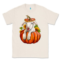Natural fall pumpkin lamb nancy cooper Classic Tee - NancyCooperArtShop