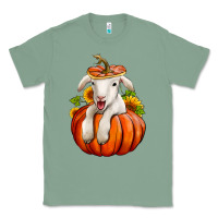 Sage fall pumpkin lamb nancy cooper Classic Tee - NancyCooperArtShop