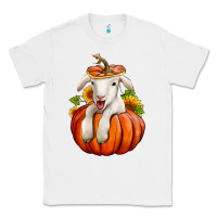 White fall pumpkin lamb nancy cooper Classic Tee - NancyCooperArtShop