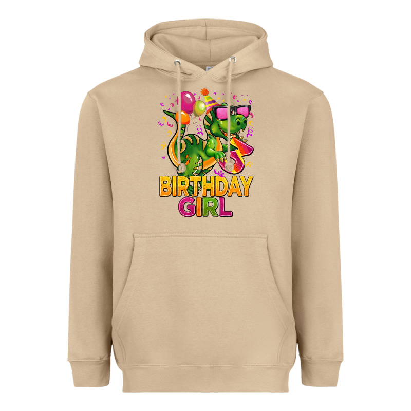 3rd Birthday Girl T Rex Pink Heavyweight Hoodie by CowGirlArtShop | Teevron