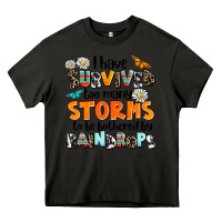Asphalt i have survived to may storms to be bothered by ra Heavy Core Tee - AdoDesignShop