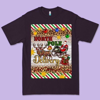 Christmas North Pole Delivery Premium Tee Designed By Artiststas