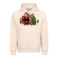 Sandshell christmas gnome and tree Urban Hoodie - FaDigitalArtStudio